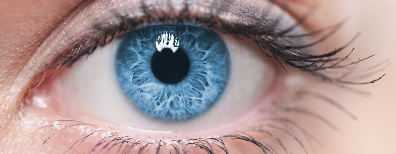 Nahaufnahme eines Auges mit blauer Iris mit Pupille, Lidrändern und Wimpern